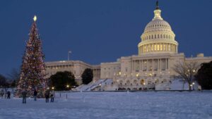 christmas tree with lights in front of the us capital in washington d.c.